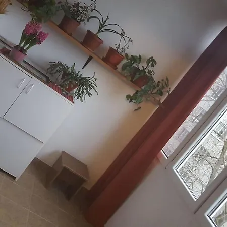 2 Apartment
